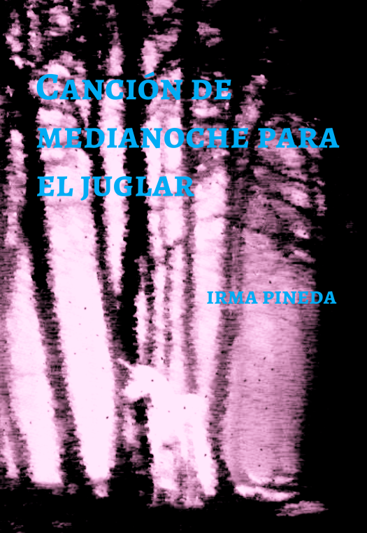 Acceso a la tienda de Amazon